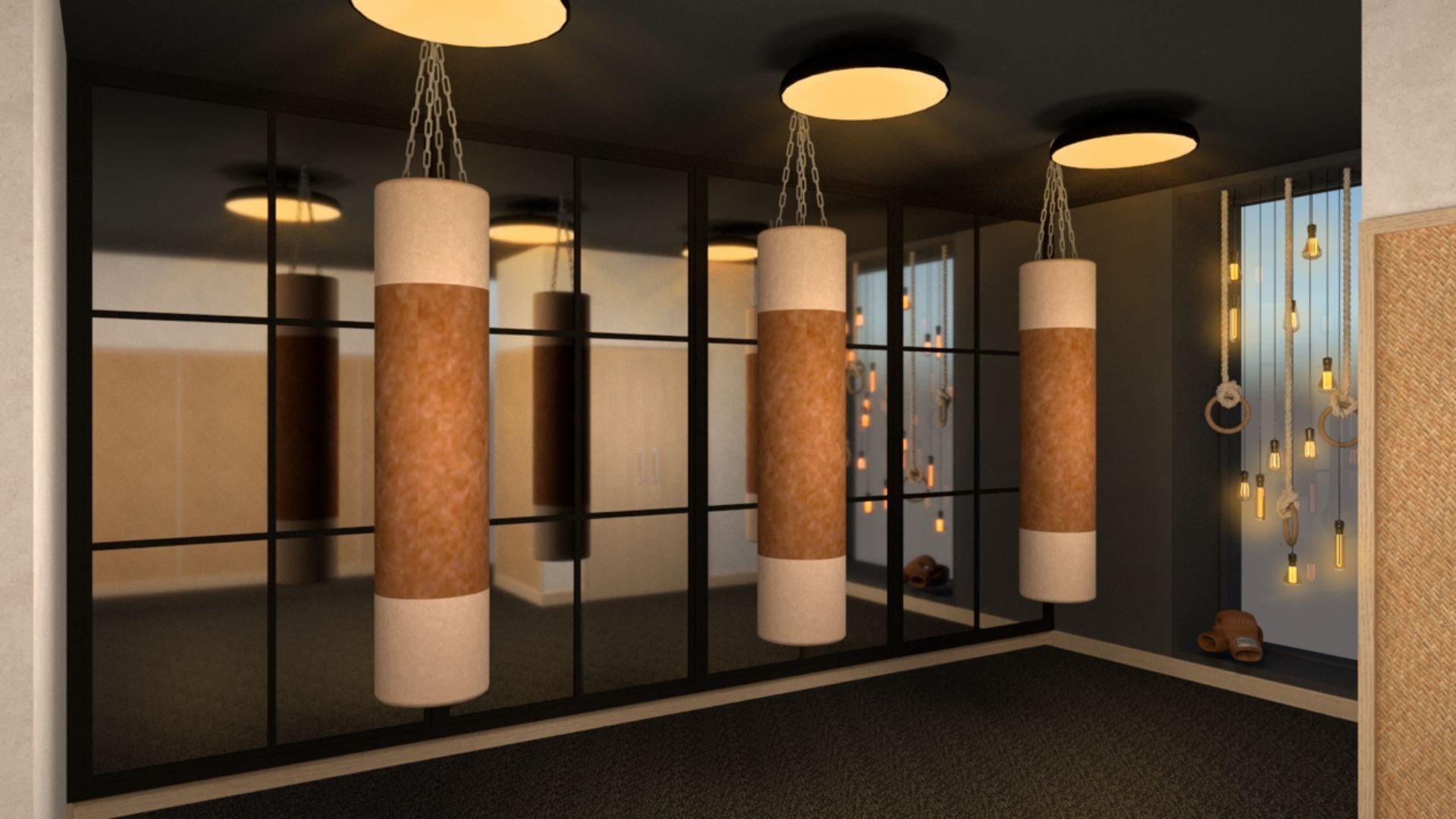 Stellar Solutions International Ltd boxing studio concept render